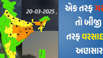 હવામાન વિભાગના જણાવ્યા અનુસાર નવું પશ્ચિમી વિક્ષેપ સક્રિય થયું છે. જેના કારણે યુપી, રાજસ્થાન અને બિહારમાં વરસાદની સંભાવના છે. બીજી તરફ રાજધાનીમાં તાપમાન વધી રહ્યું છે ,