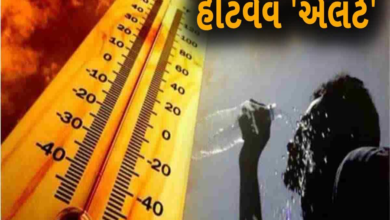 હવામાન વિભાગના જણાવ્યા અનુસાર, આગામી 24 કલાક દરમિયાન ગુજરાતમાં તાપમાનમાં કોઈ મોટો ફેરફાર થશે નહીં ,