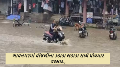 ભાવનગર શહેર માં વીજળીના કડાકા ભડાકા સાથે વરસાદ શરૂ થયો હતો અને શહેરના માર્ગો ભીંજાઈ ગયા હતા.