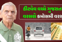 શુક્રવાર માટે હવામાનની આગાહી જાહેર કરી છે ; રાજ્યોમાં હીટવેવનું એલર્ટ જારી કર્યું છે. જયારે ઉત્તર-પૂર્વ અને દક્ષિણના 13 રાજ્યોમાં વાવાઝોડા અને વરસાદની સંભાવના છે.