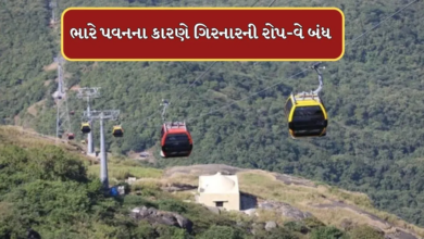 સૌરાષ્ટ્ર-કચ્છમાં આજે સવારે પવન ફૂંકાયો હતો. ગરમીમાં થોડા ઘટાડા વચ્ચે જૂનાગઢમાં જોરદાર પવન ફૂંકાતા સવારે રોપ-વે બંધ કરવાની ફરજ પડી હતી