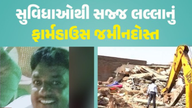 ગુજરાતમાં ગેરકાયદેસર બાંગ્લાદેશીઓ સામે સરકારે સૌથી મોટી કાર્યવાહી હાથ ધરી લલ્લા બિહારીએ પચાવી પાડેલી 2 હજાર વાર જગ્યા ખુલ્લી કરવામાં આવી છે.