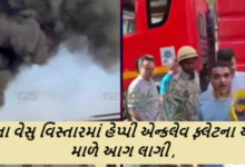 સુરતના વેસુ વિસ્તારમાં હેપ્પી એન્કલેવ ફ્લેટના આઠમા માળે આગ લાગી ,ઘટનાની જાણ થતાં ફાયર બ્રિગેડના જવાનો સાથે ગૃહ રાજ્યમંત્રી હર્ષ સંઘવી પણ ઘટનાસ્થળે હાજર ,