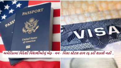 અમેરિકામાં વિદેશી વિદ્યાર્થીઓનું એફ - વન - વિસા સ્ટેટસ હાલ રદ્ કરી શકાશે નહી : કોર્ટનો આદેશ