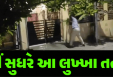 અમદાવાદ શહેરમાં અસામાજિક તત્વોનો આતંક ફરી સામે આવ્યો છે ; હથિયારો સાથે અસામાજીક તત્વોએ આખી સોસાયટી બાનમાં લીધી