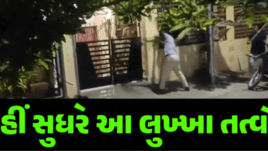 અમદાવાદ શહેરમાં અસામાજિક તત્વોનો આતંક ફરી સામે આવ્યો છે ; હથિયારો સાથે અસામાજીક તત્વોએ આખી સોસાયટી બાનમાં લીધી