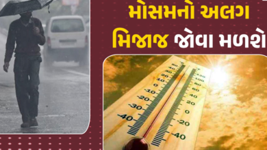 ભારે પવન સાથે ધૂળની ડમરીઓ ઉડશે, વાવાઝોડા સાથે કરા પડશે, 24 રાજ્યોમાં વરસાદની આગાહી .