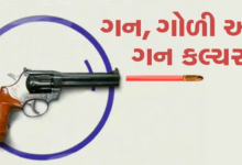 ગુજરાતમાં છાનાપગલે ગન કલ્ચર વિસ્તરી રહ્યું છે ; બીજા રાજ્યના ગન લાયસન્સ મેળવી મહદ્દઅંશે દિલ્હી- હરિયાણાથી ખરીદેલાં હથિયારો રાખવાના ટ્રેન્ડમાં 80 ટકા સટ્ટેબાજો અને અસામાજીક તત્ત્વો સામેલ