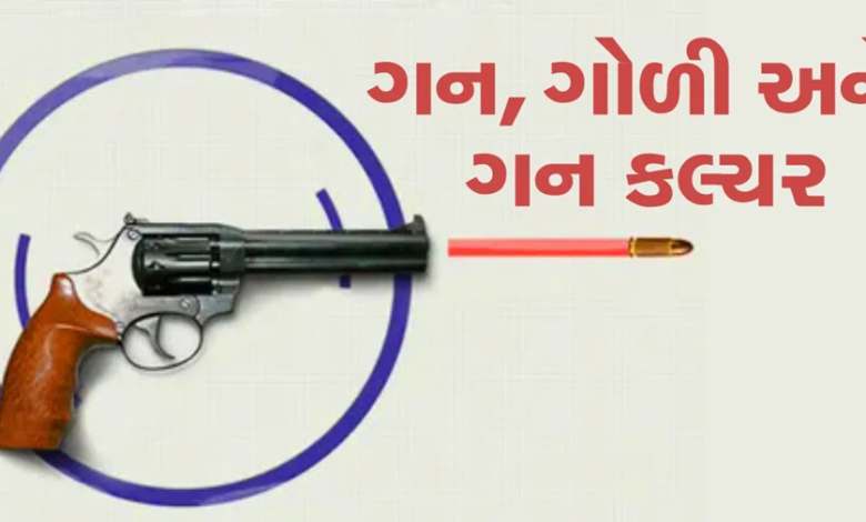 ગુજરાતમાં છાનાપગલે ગન કલ્ચર વિસ્તરી રહ્યું છે ; બીજા રાજ્યના ગન લાયસન્સ મેળવી મહદ્દઅંશે દિલ્હી- હરિયાણાથી ખરીદેલાં હથિયારો રાખવાના ટ્રેન્ડમાં 80 ટકા સટ્ટેબાજો અને અસામાજીક તત્ત્વો સામેલ