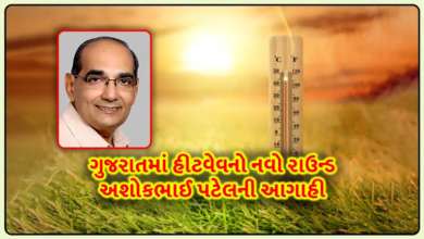 જાણીતા વેધર એનાલીસ્ટ અશોકભાઈ પટેલની આગાહી ; શનિવારથી ચાર દિવસ ફરી હીટવેવની આગાહી : તાપમાનનો પારો 43 થી 45 ડીગ્રીએ પહોંચશે ,