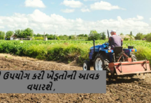 રાજ્ય સરકાર ચાર વર્ષના અંતરાલ પછી એગ્રી બિઝનેસ પોલિસી રજૂ કરશે, 2016માં જાહેર થયેલી નીતિમાં જે ખામીઓ હતી તે દૂર કરીને નવી પોલિસીમાં AI જેવી ટેકનોલોજીનો સમાવેશ કરી ખેડૂતોની આવક વધારવા પ્રયાસ કરાશે