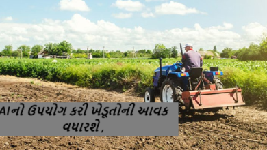 રાજ્ય સરકાર ચાર વર્ષના અંતરાલ પછી એગ્રી બિઝનેસ પોલિસી રજૂ કરશે, 2016માં જાહેર થયેલી નીતિમાં જે ખામીઓ હતી તે દૂર કરીને નવી પોલિસીમાં AI જેવી ટેકનોલોજીનો સમાવેશ કરી ખેડૂતોની આવક વધારવા પ્રયાસ કરાશે