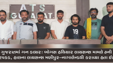 ગુજરાતમાં અન્ય રાજ્યોના બોગસ હથિયાર લાયસન્સ મેળવી હથિયાર ખરીદી કરવાનું કૌભાંડ સામે આવ્યું છે. જેમાં એટીએસ દ્વારા ગુજરાતના સાત જેટલા મુખ્ય આરોપી અને એજન્ટની ધરપકડ કરવામાં આવી છે.