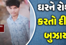 સુરતના કાપોદ્રા વિસ્તારમાં નશાખોર શખ્સે 17 વર્ષીય પરેશ વાઘેલા નામના સગીરને ચપ્પુના ઘા મારી હત્યા કરી ,