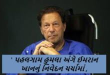 પાકિસ્તાનના ભૂતપૂર્વ વડા પ્રધાન ઇમરાન ખાને 22 એપ્રિલ, 2025 પહલગામ આતંકવાદી હુમલાને 'અત્યંત ચિંતાજનક અને દુઃખદ' ગણાવ્યો અને કહ્યું કે, 'ભારતે જવાબદારીપૂર્વક કાર્ય કરવાની જરૂર છે.'