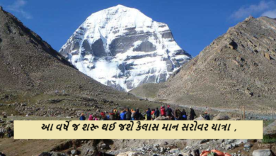 આ વર્ષે જ શરૂ થઈ જશે કૈલાસ માન સરોવર યાત્રા