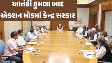 પહેલગામ આતંકવાદી હુમલા બાદ ભારતનું આકરું વલણ શું ભારતમાં સારવાર કે શિક્ષણ માટે આવતા પાકિસ્તાનીઓને પણ ભારત છોડવું પડશે?