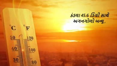 કંડલા 45.6 ડિગ્રી સાથે અગનગોળો બન્યુ ; અમદાવાદ, ગાંધીનગર, ડિસા, અમરેલી, જૂનાગઢ અને પોરબંદરમાં પણ 43 ડિગ્રીને પાર ,