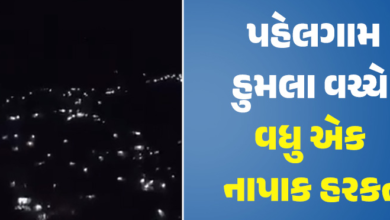 પહેલગામ હુમલા પછી ભારતે લીધેલા કડક પગલાંથી હતાશ પાકિસ્તાન સતત ઉશ્કેરણીજનક પ્રવૃત્તિઓ કરી રહ્યું છે. બુધવારે પણ પાકિસ્તાની સૈનિકો એ નિયંત્રણ રેખા (LoC) પર ગોળીબાર કર્યો.