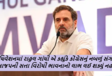અધિવેશનમાં રાહુલ ગાંધી એ કહ્યુંકે કોંગ્રેસનું નબળું સંગઠન ભાજપની સત્તા વિરોધી ભાવનાનો લાભ લઈ શક્યું નહીં.