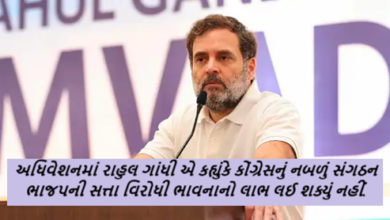 અધિવેશનમાં રાહુલ ગાંધી એ કહ્યુંકે કોંગ્રેસનું નબળું સંગઠન ભાજપની સત્તા વિરોધી ભાવનાનો લાભ લઈ શક્યું નહીં.