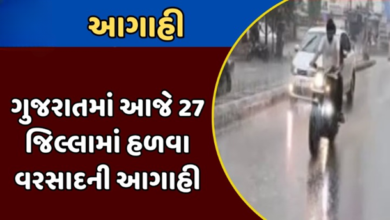 હવામાન વિભાગની આગાહી મુજબ ગુજરાતના 27 જિલ્લામાં હળવાથી મધ્યમ વરસાદનું અનુમાન ,