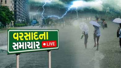 છેલ્લા 24 કલાકમાં 191 તાલુકા થયા પાણી-પાણી, વ્યારામાં સૌથી વધુ વરસાદ 4 ઇંચ ખાબક્યો, વાંચો આંકડા ,