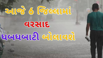 આજે પણ રાજ્યના મોટાભાગના જિલ્લાઓમાં વરસાદની આગાહી ,