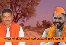 દાહોદના મનરેગા કૌભાંડમાં ધરપકડ કરાયેલા રાજયના મંત્રી બચુ ખાબડના બન્ને પુત્ર ના દાહોદ કોર્ટે જામીન આપ્યા ,