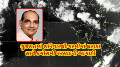 જાણીતા વેધર એનાલીસ્ટ અશોકભાઈ પટેલની તા.11 મે સુધીની આગાહી : તા.6 થી 9માં મુખ્ય વરસાદ - કુલ 1 થી 8 ઈંચ સુધી પાણી વરસી શકે : કરા પણ પડવાની શકયતા