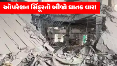 ઓપરેશન સિંદૂરને આગળ ધપાવતાં ભારતે બીજો મોટો ફટકો મારીને પાકિસ્તાનની એર ડિફેન્સ સિસ્ટમનો ખાતમો બોલાવી દીધો છે.