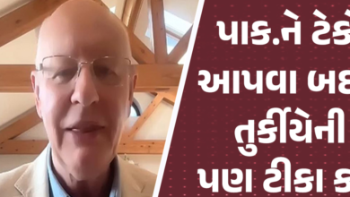 બ્રિટિશ રાજકીય વિવેચક અને લેખકે જણાવ્યું કે પાકિસ્તાનનો ઉપયોગ કરી રહ્યું છે ચીન, ડ્રેગન પર ન કરવો વિશ્વાસ ,
