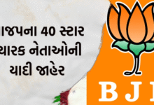 કડી અને વિસાવદર વિધાનસભાની બેઠકો પર પેટાચૂંટણી આગામી 19 જૂને યોજાવવા જઇ રહી છે. આ પેટા ચૂંટણીને લઇને ભાજપે સ્ટારપ્રચારકોની યાદી જાહેર કરી છે