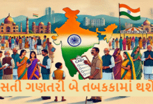 વસતી ગણતરી બે તબકકામાં થશે ; પ્રથમ તબકકામાં ઘરોની યાદી-ગણના જેવી બાબત હશે: બીજા તબકકામાં વસતી વિષયક-સામાજીક-આર્થિક જેવી બાબતોની માહિતી એકત્રિત થશે