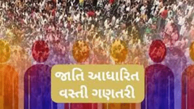 વસતી ગણતરીની સમગ્ર કવાયતમાં 10 લાખ કર્મચારીઓને સામેલ કરવામાં આવનાર છે. જેઓ ઘેર-ઘેર જઈને પરિવાર-નાગરિકોની સંખ્યા ગણશે ,