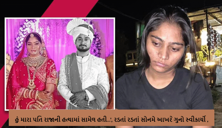 ઇન્દોરના રાજા રઘુવંશી હત્યા કેસમાં, પત્ની સોનમ રઘુવંશીએ હત્યાના કાવતરામાં સામેલ હોવાની કબૂલાત કરી ,