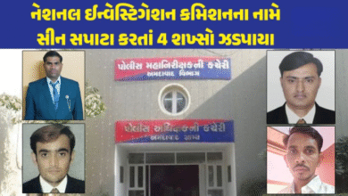 રાજ્યમાં ફરી એકવાર નકલીની બોલબાલા શરૂ ; ગ્રામ્ય SP ઓફિસમાં રોલા પાડવા ગયેલા નકલી અધિકારીઓ ભરાઈ ગયા, શંકા જતા આરોપીઓની પૂછપરછ કરતાં ચોંકાવનારું સત્ય સામે આવ્યું