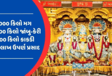 ભગવાન જગન્નાથ રથયાત્રા દરમિયાન પરંપરાગત રૂટ પર ફરશે. આજની આ રથયાત્રા માં 18 ગજરાજ, 101 ભારતીય સંસ્કૃતિની ઝાંખી કરાવતી ટ્રકો, 30 અખાડા, 18 ભજન મંડળીઓ રથયાત્રાનુ આકર્ષણ બનશે.