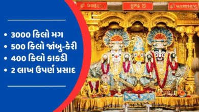 ભગવાન જગન્નાથ રથયાત્રા દરમિયાન પરંપરાગત રૂટ પર ફરશે. આજની આ રથયાત્રા માં 18 ગજરાજ, 101 ભારતીય સંસ્કૃતિની ઝાંખી કરાવતી ટ્રકો, 30 અખાડા, 18 ભજન મંડળીઓ રથયાત્રાનુ આકર્ષણ બનશે.