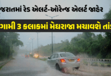 હવામાન વિભાગે આગામી 3 કલાક માટે રાજ્યના 11 જિલ્લા અને દીવમાં ભારે વરસાદને લઈને રેડ એલર્ટ જાહેર કર્યું છે,