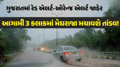 હવામાન વિભાગે આગામી 3 કલાક માટે રાજ્યના 11 જિલ્લા અને દીવમાં ભારે વરસાદને લઈને રેડ એલર્ટ જાહેર કર્યું છે,