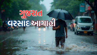 ગુજરાતના 7 જિલ્લામાં વરસાદની આગાહી કરવામાં આવી છે. હવામાન વિભાગની આગાહી પ્રમાણે દક્ષિણ ગુજરાત, સૌરાષ્ટ્રના કેટલાક જિલ્લાઓમાં વરસાદ થશે.