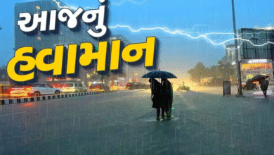રાજ્યના આ 28 જિલ્લામાં આજે વરસશે વરસાદ