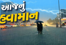 હવામાન વિભાગી આગાહી મુજબ ગુજરાતમાં આગામી 7 દિવસ ક્યાંક ભારે તો ક્યાંક મધ્યમ વરસાદનું અનુમાન છે.