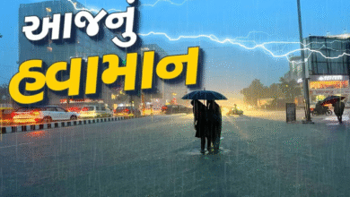 હવામાન વિભાગી આગાહી મુજબ ગુજરાતમાં આગામી 7 દિવસ ક્યાંક ભારે તો ક્યાંક મધ્યમ વરસાદનું અનુમાન છે.