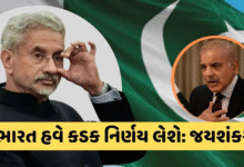 જયશંકરે કહ્યું કે, જો ભારતને આતંકવાદી હુમલાઓ માટે ઉશ્કેરવામાં આવશે, તો ભારત પાકિસ્તાનની અંદર હુમલો કરવામાં અચકાશે નહીં,