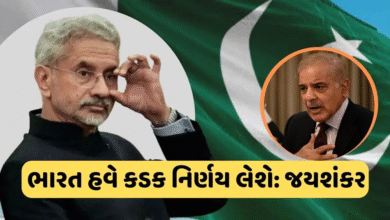 જયશંકરે કહ્યું કે, જો ભારતને આતંકવાદી હુમલાઓ માટે ઉશ્કેરવામાં આવશે, તો ભારત પાકિસ્તાનની અંદર હુમલો કરવામાં અચકાશે નહીં,