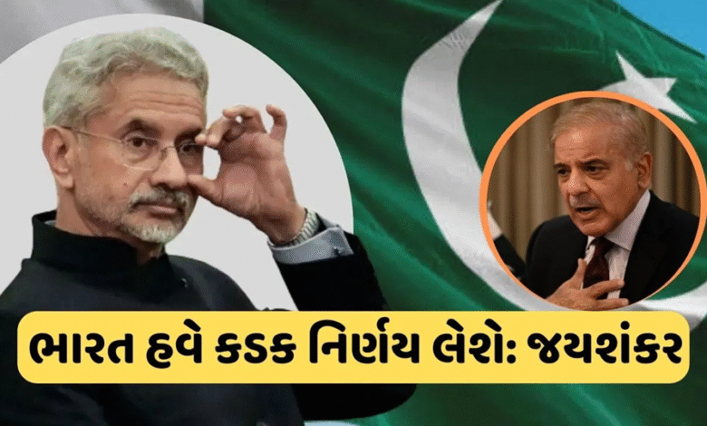 જયશંકરે કહ્યું કે, જો ભારતને આતંકવાદી હુમલાઓ માટે ઉશ્કેરવામાં આવશે, તો ભારત પાકિસ્તાનની અંદર હુમલો કરવામાં અચકાશે નહીં,