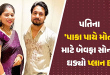 શાતિર સોનમ ; પ્લાન-બી તૈયાર કરેલો , જો સોપારી કિલર્સથી પતિ બચી જાય તો સોનમે પતિનું કાસળ કાઢવા પ્લાન હતો. ,