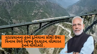 વડાપ્રધાનના હસ્તે દુનિયાના સૌથી ઉંચા ચિનાબ રેલવે બ્રિજનું ઉદઘાટન, વંદેભારત ટ્રેનને લીલીઝંડી ,